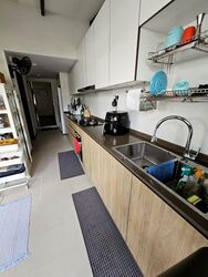 Normanton Park (D5), Terrace #497766861